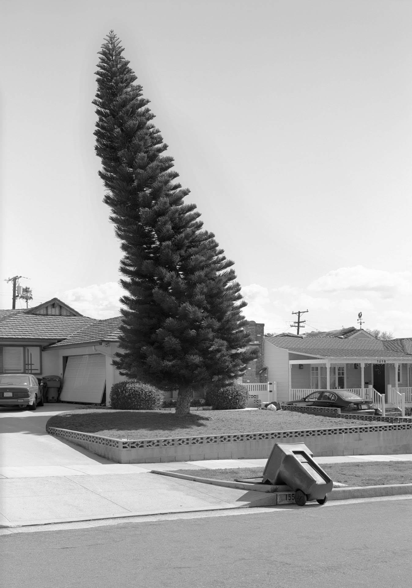 30